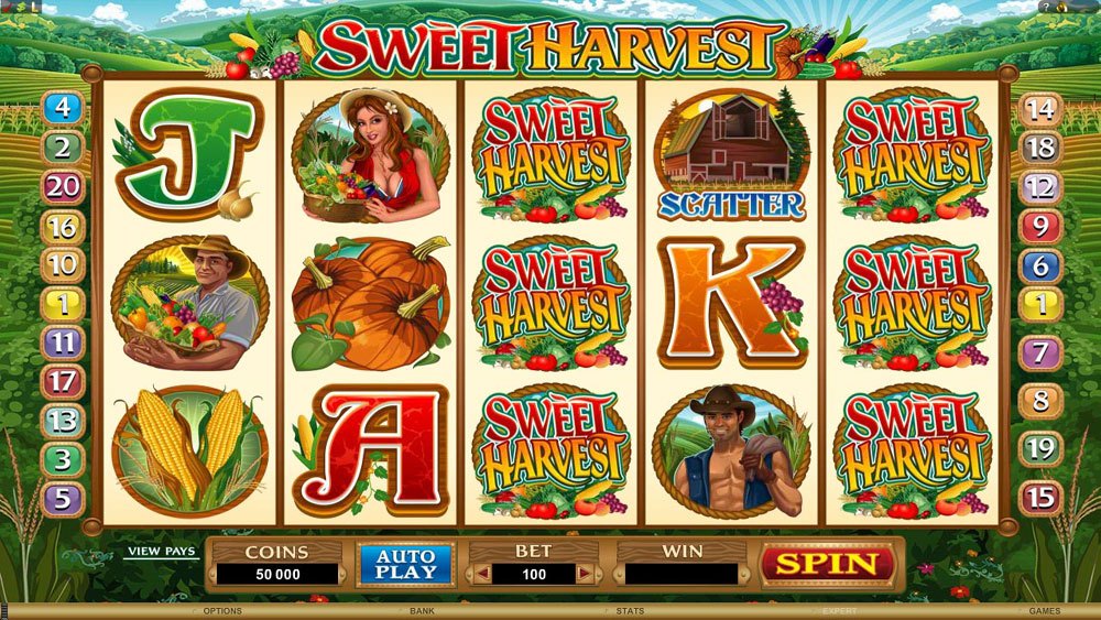 Sweet Harvest Slot